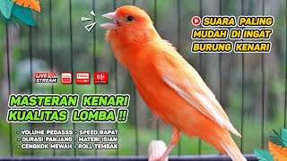 Kenari GACOR‼️ Masteran Burung Kenari PAUD dan Pancingan Kenari MACET BUNYI  EPISODE 1527 [upl. by Anaz334]