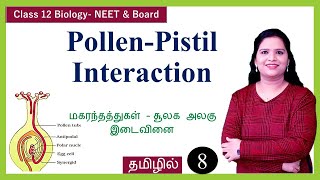 Pollen Pistil Interaction  Sexual Reproduction in Flowering Plants [upl. by Wenonah779]