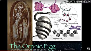 Symbols of Power 26 Serpent Science Universal Physics Orphic Egg Biology Lifting The Veil [upl. by Atinaej]