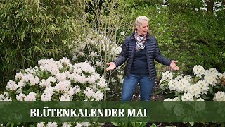 Blütenkalender Mai  Pfingstrosen Flieder Schneeball Rhododendron Storchschnabel [upl. by Mayer797]