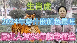 生肖屬相虎！屬虎人在2024年穿什麼顏色最旺？生肖屬虎人2024年幸運色是什麼！本期視頻講述2024生肖虎！運勢 顏色 風水 2024 [upl. by Aeiram997]