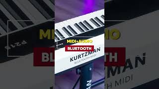 XUỐNG TẢI SỐ LƯỢNG KHỦNG PIANO ĐIỆN KURTZMAN P215 KS3 VÀ CHÂN ĐÀN U STAND Ở CHI NHÁNH BÀNH VĂN TRÂN [upl. by Minier]