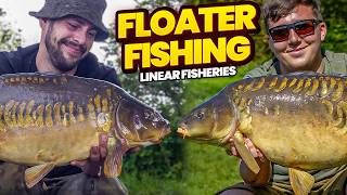 25 CARP HAUL At Linear Fisheries  Surface Fishing With The New Flat Spot Floaters [upl. by Edurtreg]