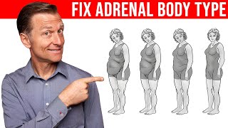 How to Fix the Adrenal Body Type  Dr Berg [upl. by Acinnad]