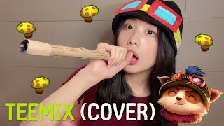 TEEMIXVocal Cover by Hanol Rim [upl. by Yrotciv]