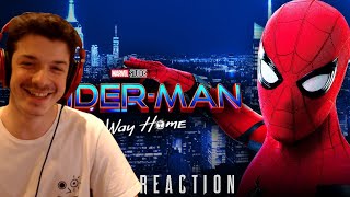 Spider Man No Way Home Official Trailer  Reaction [upl. by Lotte226]