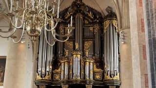 Int Martini Organ Comp Groningen 2022 [upl. by Godfrey113]