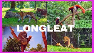 🦁LONGLEAT SAFARI AND ADVENTURE PARK Wiltshire UK  Drive through safari  Boat Ride  Train Ride 🦁 [upl. by Atalee]