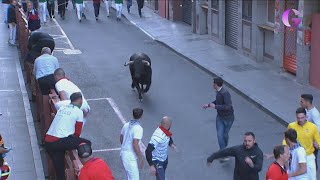 Encierro viernes Ferias Guadalajara 2024 [upl. by Einnahpets]