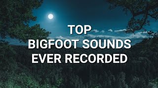 TOP BIGFOOT SOUNDS EVER RECORDED [upl. by Ybrad923]