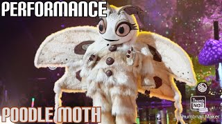 Poodle Moth Performs quotPrice Tagquot By Jessie J FT BOB  Masked Singer  S11 E10 [upl. by Mccallum567]