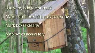 A guide to putting up a dormouse box [upl. by Cleon]