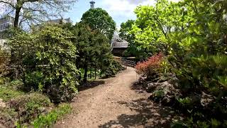 Botanic Garden Hokkaido University  Walking Video Sapporo Hokkaido Japan [upl. by Sixele]