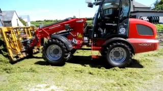 Weidemann 4080T Buckraking Co Antrim [upl. by Lanie]