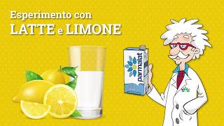 Esperimento latte e limone [upl. by Eirellam]