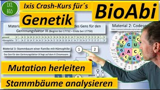 Genetik Anwendungsaufgabe AFB II Art der Mutation herleiten  Stammbaum analysieren  BioAbi 2023 [upl. by Michaeline]