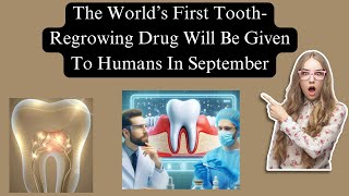 Introducing the World’s First ToothRegrowing Drug  A Milestone in Dental Research” 🦷research [upl. by Etnahsa472]