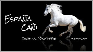 ESPAÑA CAÑI  Cavalli al Paso Doble  Cover by Antonio Gaeta [upl. by Atahs318]