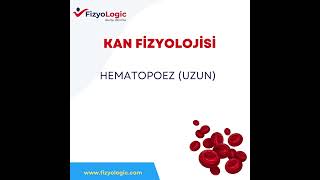 FİZYOLOGİC KAN FİZYOLOJİSİ  HEMATOPOEZ UZUN VERSİYON [upl. by Petra]