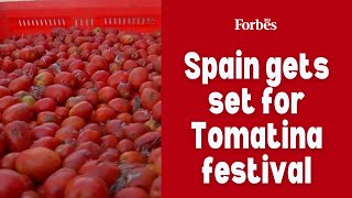 Spain gets set for Tomatina festival [upl. by Linnie69]