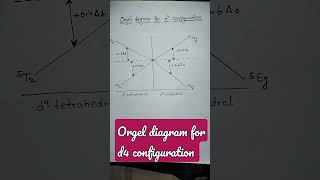 orgel diagram for d4 configuration viral shorts orgeldiagram net csirnet [upl. by Maida976]