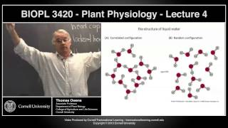 BIOPL3420  Plant Physiology  Lecture 4 [upl. by Shea]