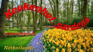 Keukenhof gardens Netherlands [upl. by Stilwell]