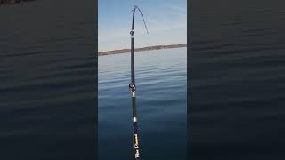 Cayuga Lake Early Season Laker [upl. by Hilbert]