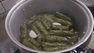 Armenian dolma  Armenská dolma [upl. by Goda]