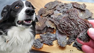 DIY Chicken Liver Jerky Treats for Dogs [upl. by Darra]