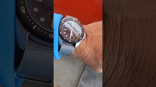 Elivia by MWC watches militarywatch milspecwatchgroupcom divewatch silverado jreclips [upl. by Nade]