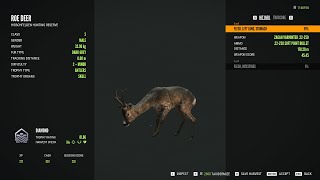 Roe deer  2Diamond  theHunter Call of the Wild 2023 12 14 [upl. by Graces]