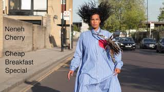 Neneh Cherry  Cheap Breakfast Special Official Audio [upl. by Kirbee]