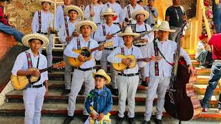 Orquesta Regional Tsitsiki de Cheran  ALBUM COMPLETO 2024 [upl. by Pampuch]