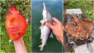 Have you ever eaten shark  Chinese Mountain Forest Life and Food Moo Tik TokFYP [upl. by Eynaffit]