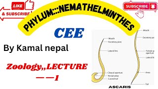 Phylum nemathelminthes Cee zoology all best lecture with noteslecture1 [upl. by Akeemahs]