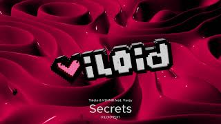 Tiësto amp KSHMR feat Vassy  Secrets Viloid Edit [upl. by Ynahpets921]