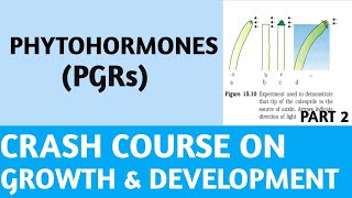 PhytohormonesPGRsClass 11NCERTPart 2Plant HormonesCrash CourseNEETAIIMSJIPMER [upl. by Parthen262]