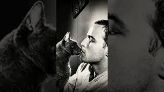 En quotEl Padrinoquot el GATO que acaricia Marlon Brando [upl. by Niasuh]