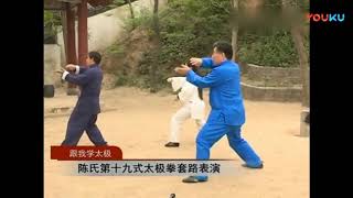 Chen Xiaowang Chen style TaiJiQuan 19 Form [upl. by Leksehc257]