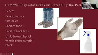 What to Expect After a Positive P ramorum Sample [upl. by Mellins123]