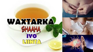 Waxtarka Shaaha Iyo Liin Dhanaanta [upl. by Hart900]