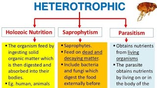 Heterotrophic nutrition its mode saprophytic parasitic holozoic nutrition class10 [upl. by Jr]