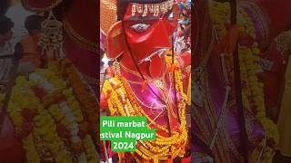 marbat festival Nagpur 2024  Pola festival  festival marathi [upl. by Tihom]