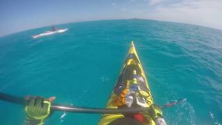 Kayaking to Rose Island The Bahamas [upl. by Carlie15]