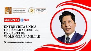 Entrevista Única en Cámara Gesell en casos de Violencia Familiar  Sergio Emerson Chávez Panduro [upl. by Nell]