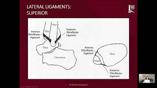 The Anterolateral amp Lateral Sides  RadPodSquad Normal Ankle MRI [upl. by Honeyman]