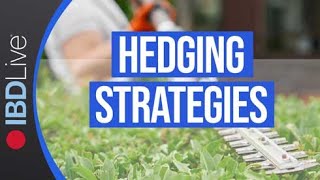 Use These Hedging Strategies To Protect Your Portfolio When Downside Reversals Happen  IBD Live [upl. by Ahsirtal]