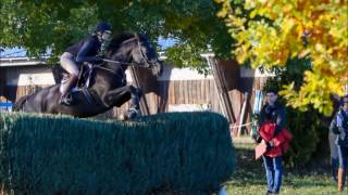 Impressionen  Trakehner Vielseitigkeitsinitiative mit Andreas Ostholt Okt 2016 [upl. by Fatsug]