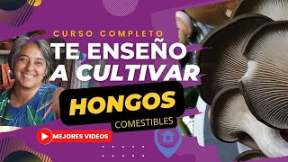 03👩‍🌾🍄CULTIVAR HONGOS COMESTIBLES Conocé al Vetiver Gramínea de la India no invasiva [upl. by Cristy]